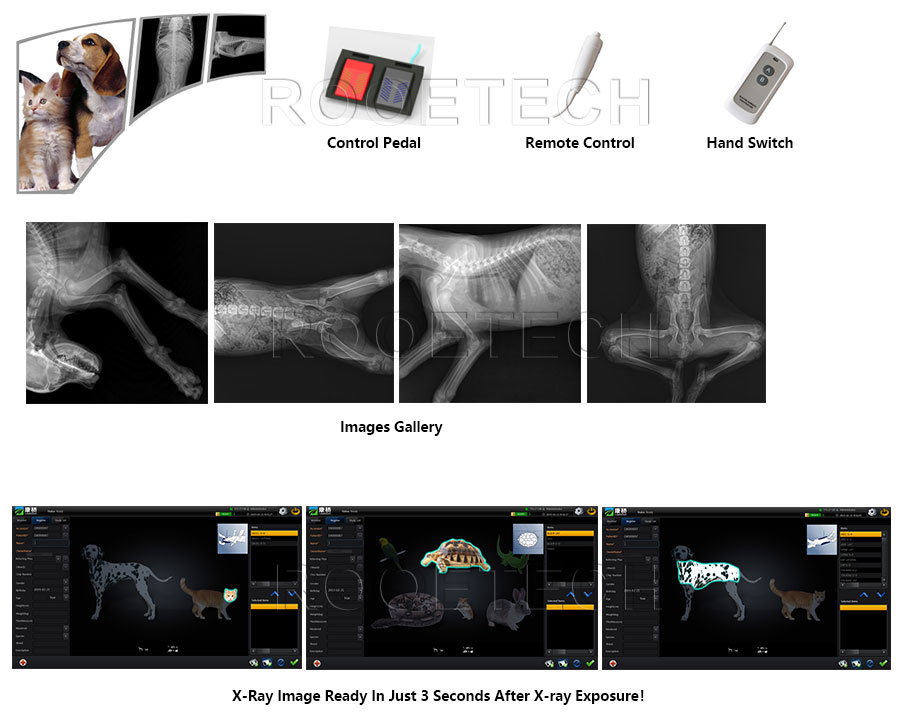 pet x ray machine, dog x ray machine price, horse x ray machine, veterinary imaging equipment