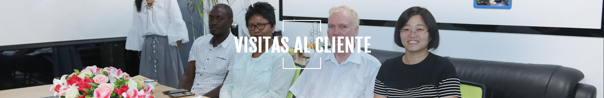 Visitas al cliente