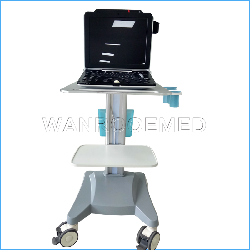 Machine portative d'ultrason de couleur de Doppler de l'équipement 4D Doppler d'équipement hospitalier pour la grossesse