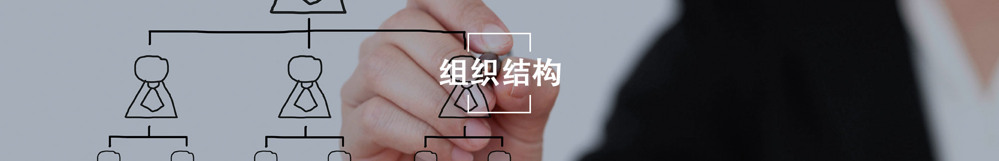 组织结构