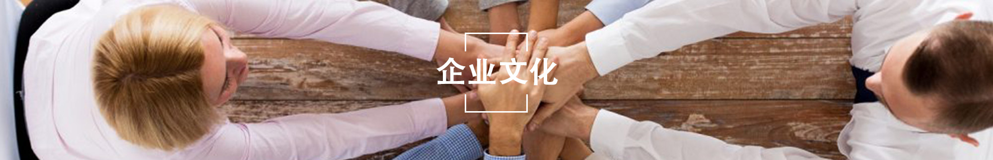 企业文化