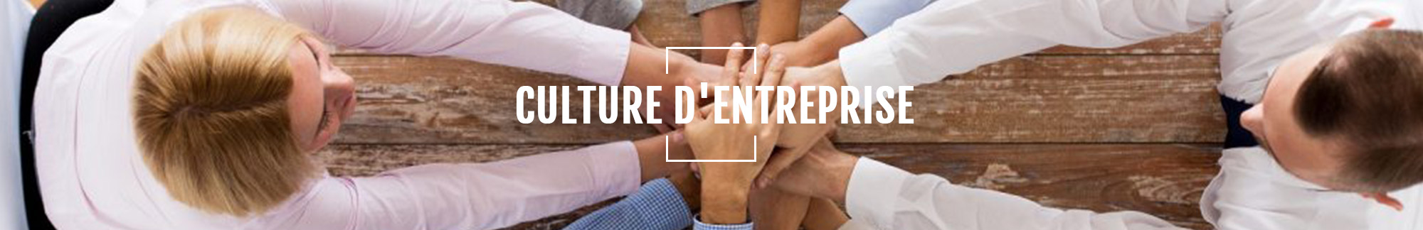 Culture d'entreprise