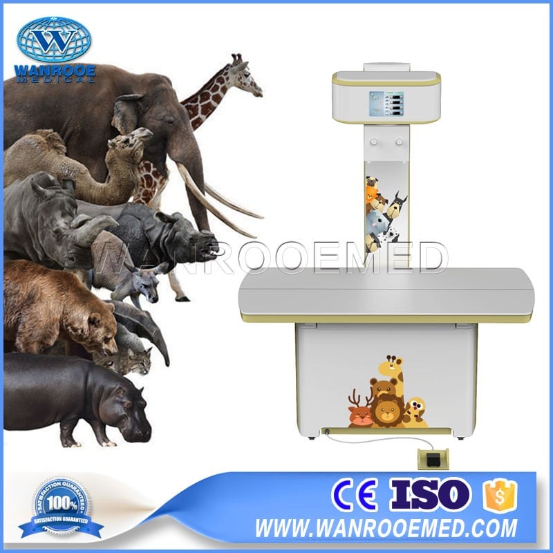 VET1800 Vet Digital Radiography System Portable Veterinary X ray Machine For Small And Big Animal