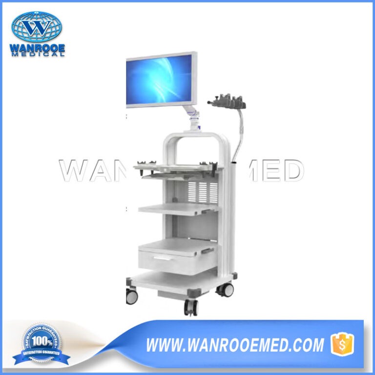 BWT-003C New Endoscopic System Cart Workstation Cart
