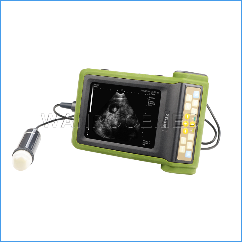 Scanner vétérinaire mécanique portatif d'ultrason de prix bon marché d'USMSU2