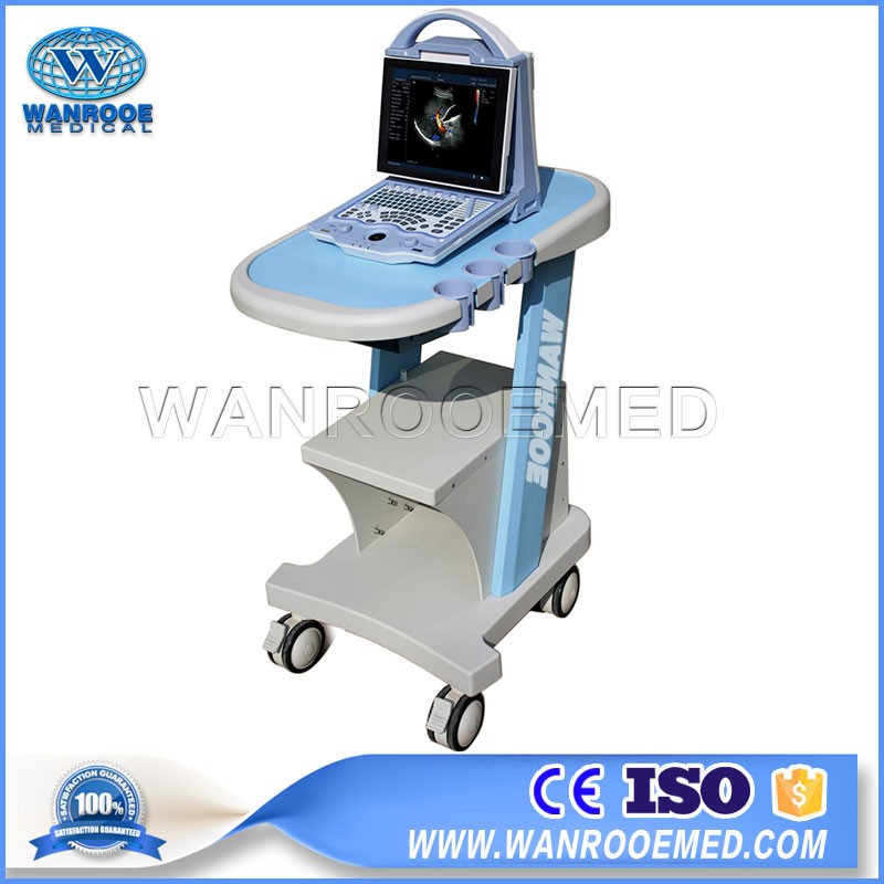 5f9124073aea6.jpg