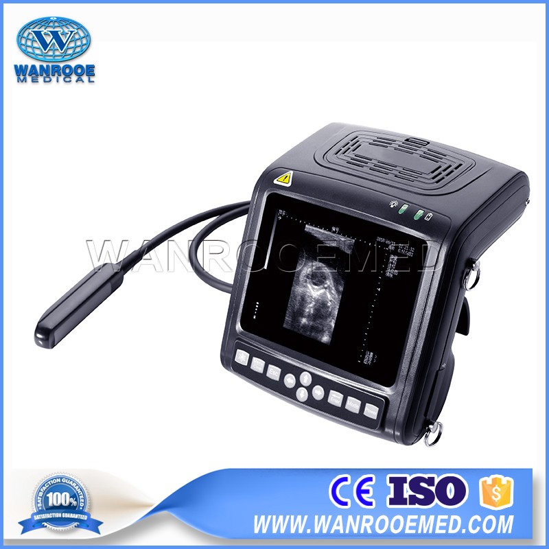 5f9129b2b55ec.jpg