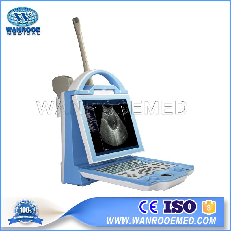 USKX5600 Sheep Pig Cattle Horse Pregnancy Portable LED Animal Ultrasound Machine