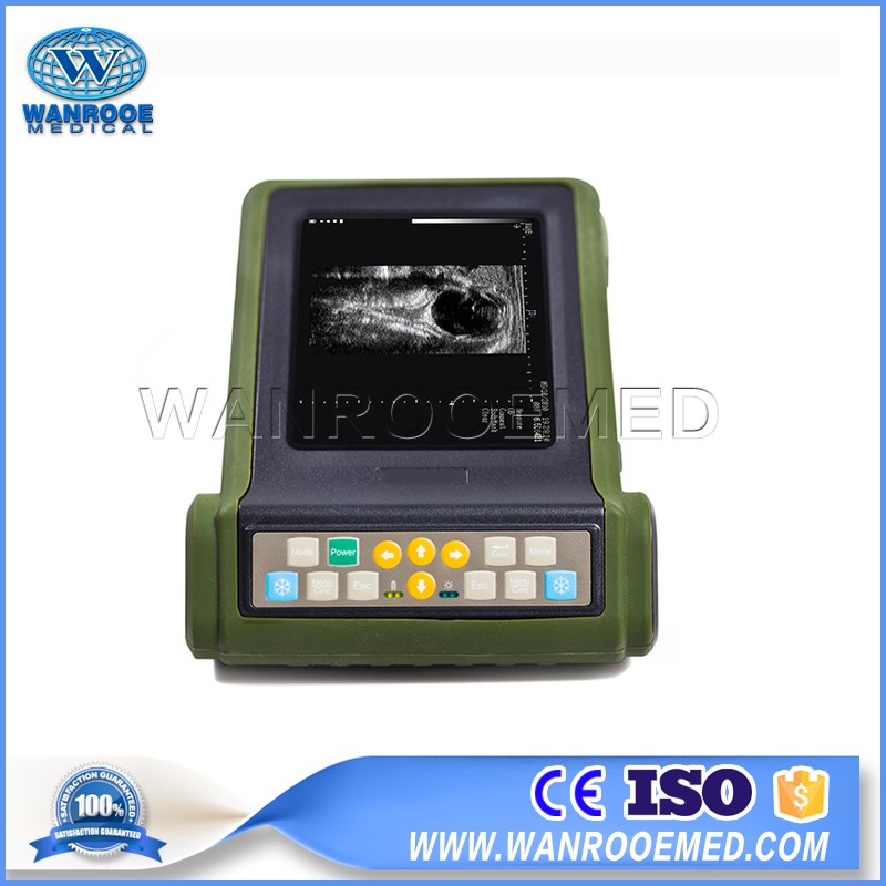 USRKU10 Portable Handheld Animal Ultrasound Scanner For Canine Feline Goat Swine