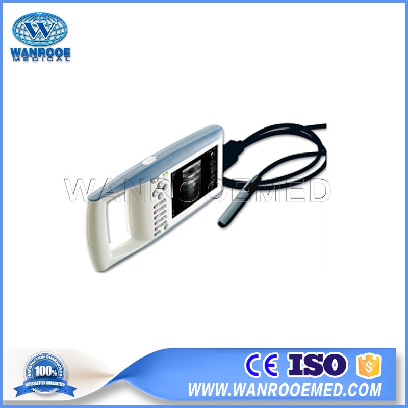 USKX5100V Full Digital Handheld Ultrasound Vet Ultrasound Machine For Bovine Equine Ovine