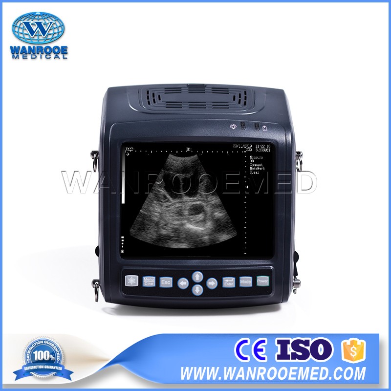 USKX5200V Full-digital B Mode Animal Ultrasound Scanner Veterinary Ultrasound For Swine Cattle