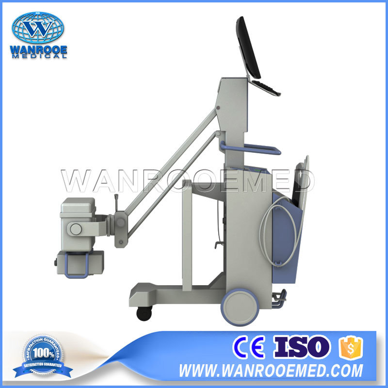 Vet1010 Medical Portable Digital Mobile DR System Animal X-ray Machine For Swine Sheep Cattle