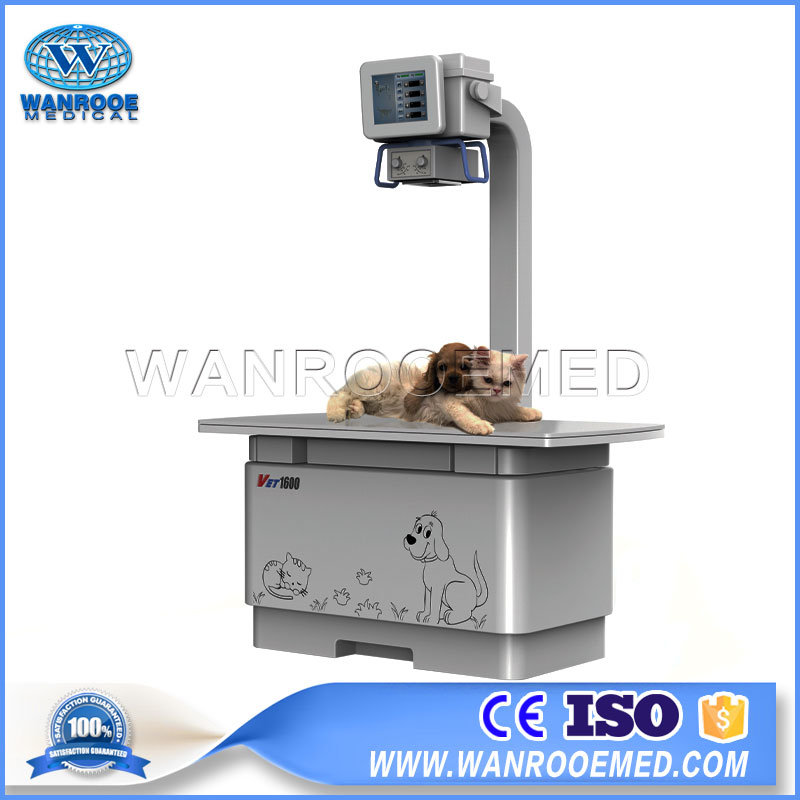VET1600 High frequency Digital Portable Vet X Ray Machine For Cat